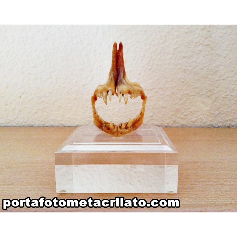 Peanas de metacrilato