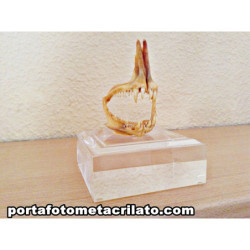 Peanas de metacrilato